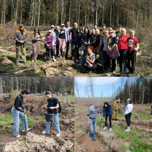 «Дай лесу новае жыццё!»