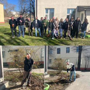 Адвокаты специализированной юридической консультации г. Минска «Защита и представительство»  произвели уборку прилегающей к консультации территории