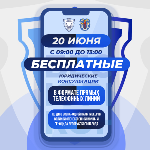 Адвокаты бесплатно проконсультируют граждан по телефону 20 июня